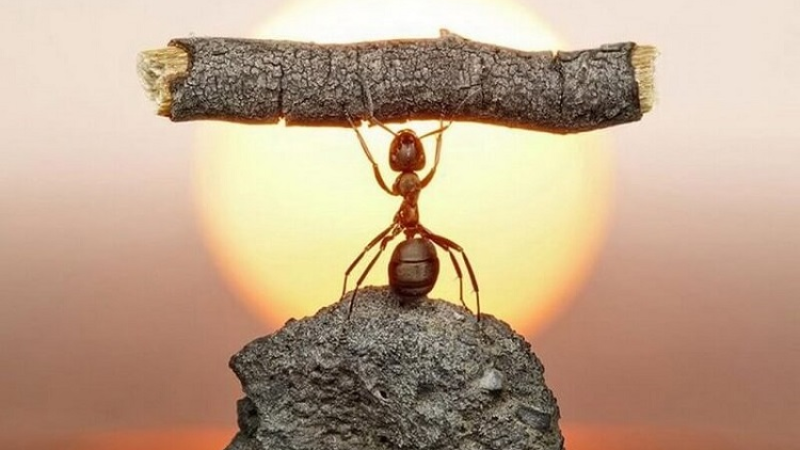 Hãy nhớ về LÝ DO bạn bắt đầu